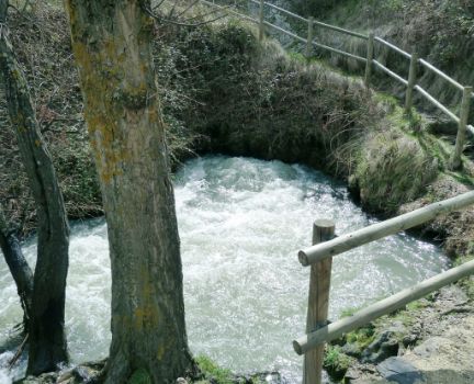 Manantial del río Queiles en Vozmediano